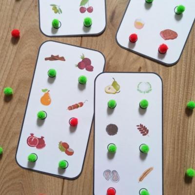 CARTES A JETONS - ORIGINE ANIMALE OU VEGETALE
