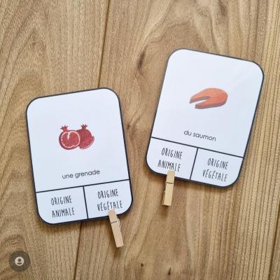 CARTES A PINCES 1 - ORIGINE ANIMALE OU VEGETALE